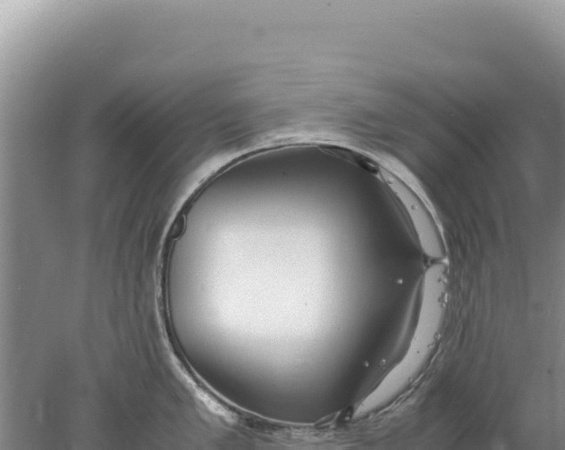 X0000077991005200611171750