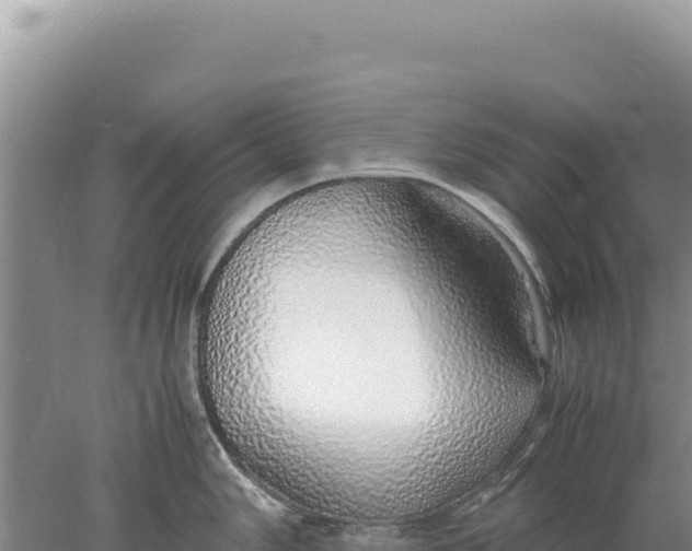 X0000077991006200611171750