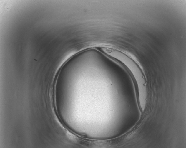 X0000077991007200611171749