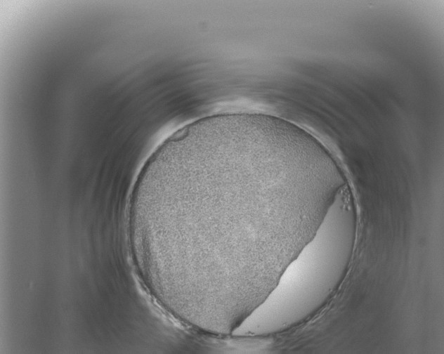 X0000077991008200611171749