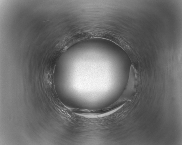 X0000077991010200611171749