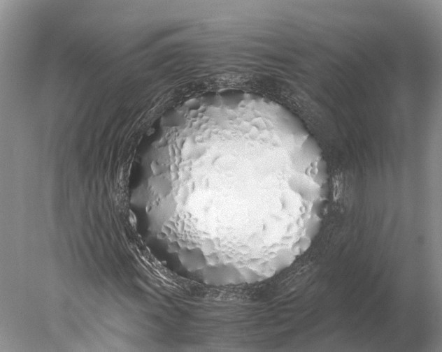 X0000077991011200611171749