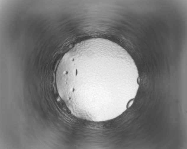 X0000077991012200611171749