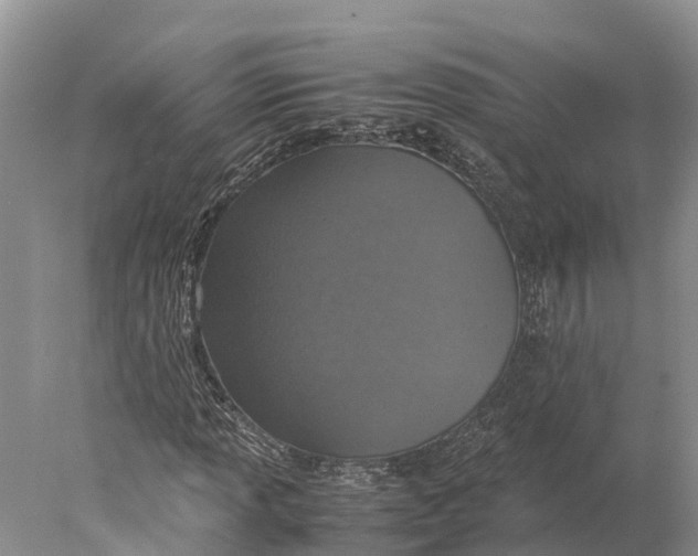 X0000077991013200611171749