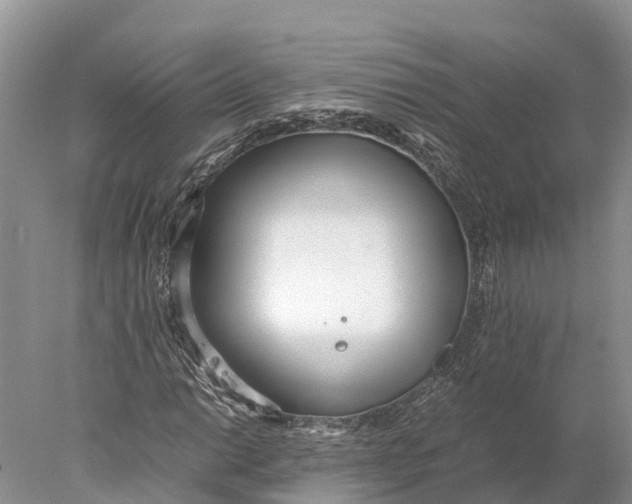 X0000077991014200611171749