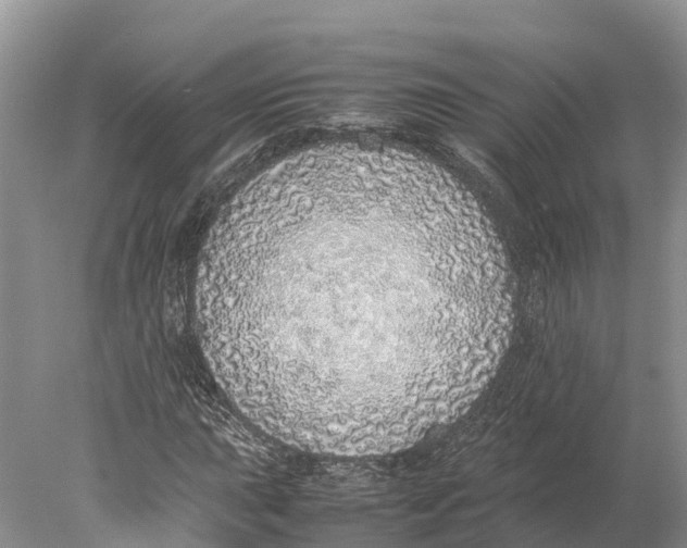 X0000077991015200611171749