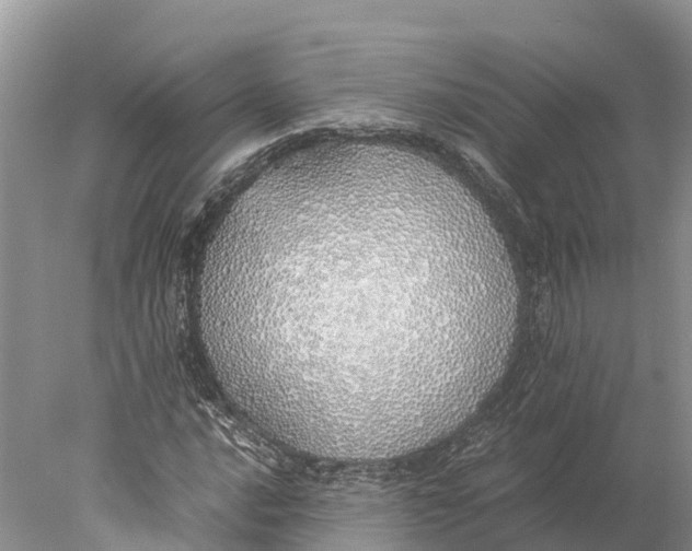 X0000077991016200611171749