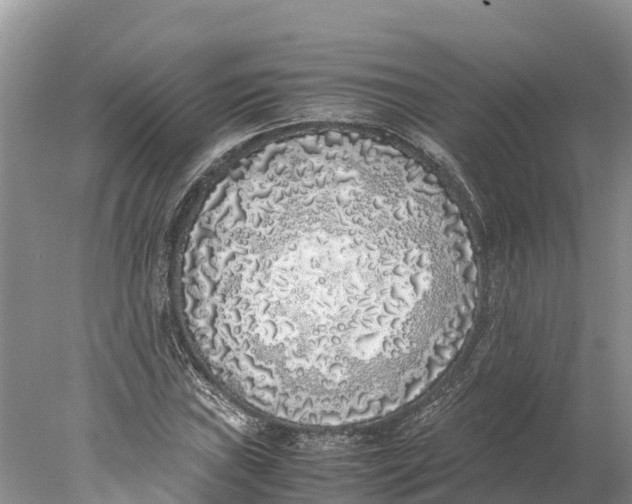 X0000077991019200611171749