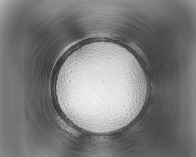 X0000077991020200611171749