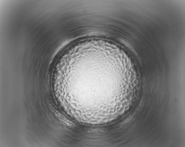 X0000077991021200611171749