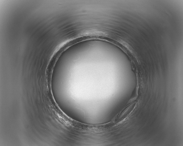 X0000077991022200611171749