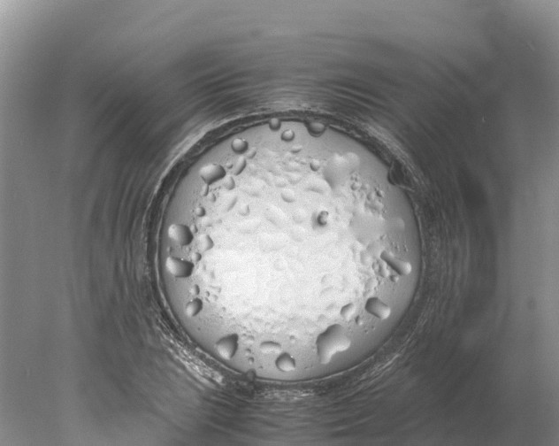 X0000077991023200611171749