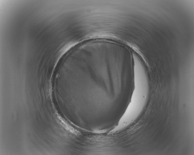 X0000077991024200611171749