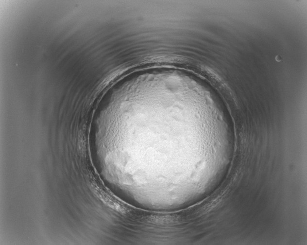 X0000077991025200611171749