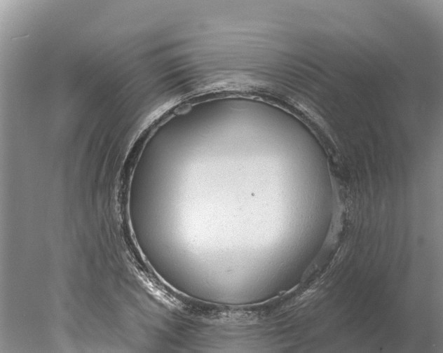 X0000077991026200611171749