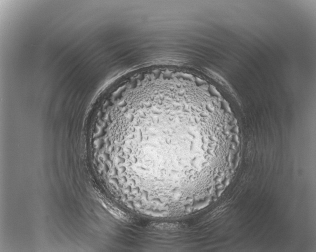 X0000077991027200611171749