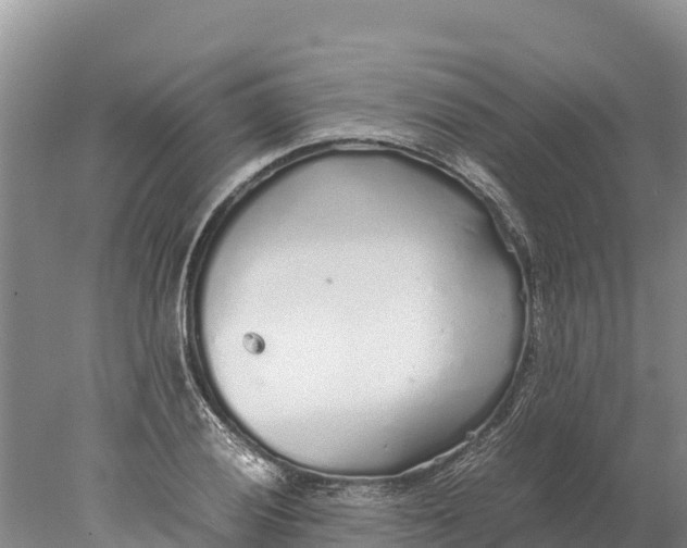 X0000077991028200611171749