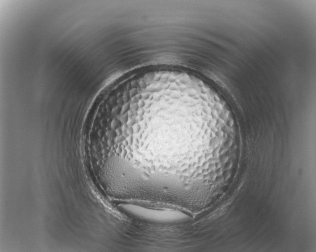 X0000077991029200611171749