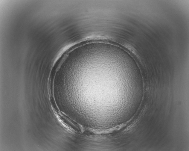 X0000077991030200611171749