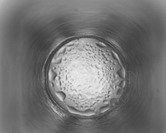 X0000077991031200611171749