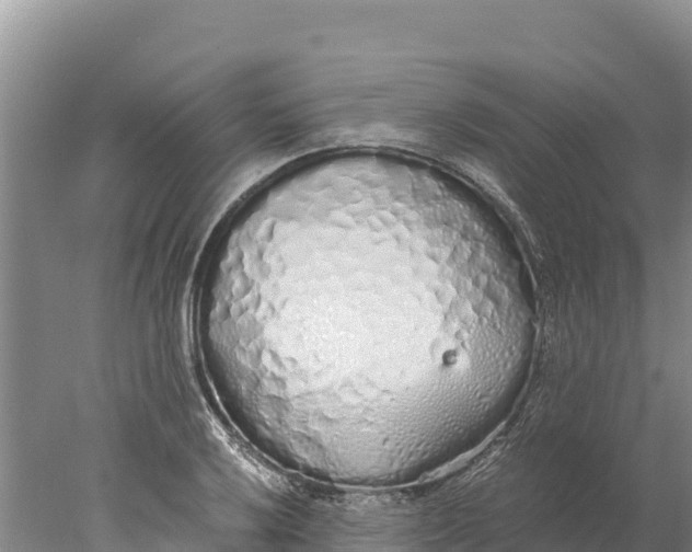 X0000077991032200611171749