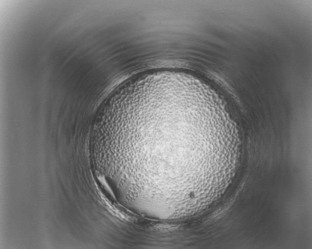 X0000077991033200611171749