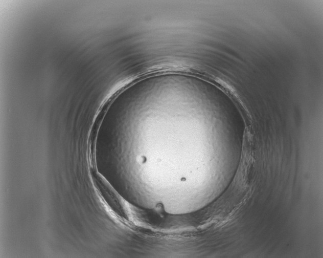 X0000077991034200611171749