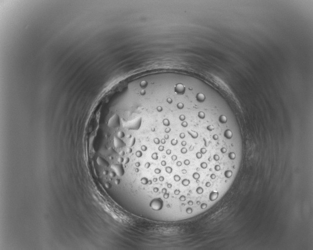 X0000077991035200611171749