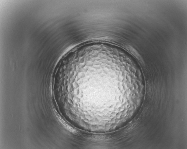 X0000077991036200611171749