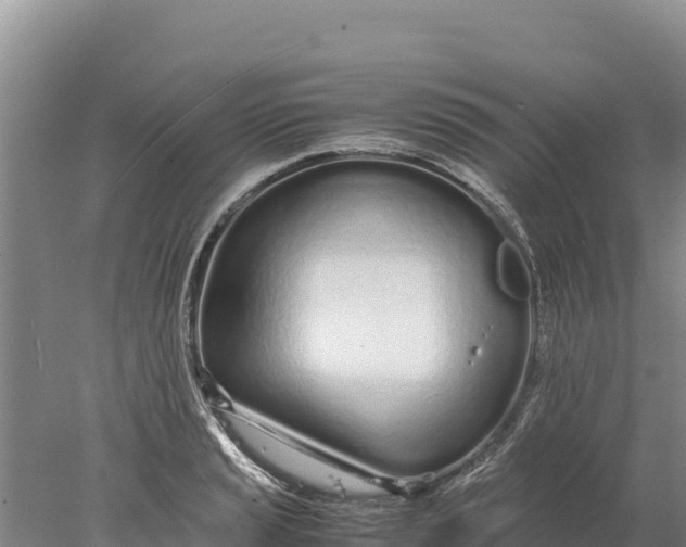 X0000077991037200611171749