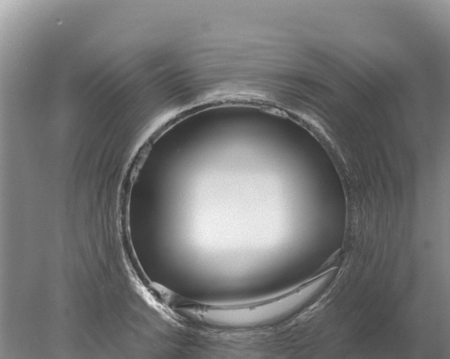 X0000077991038200611171749