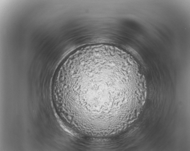 X0000077991039200611171749