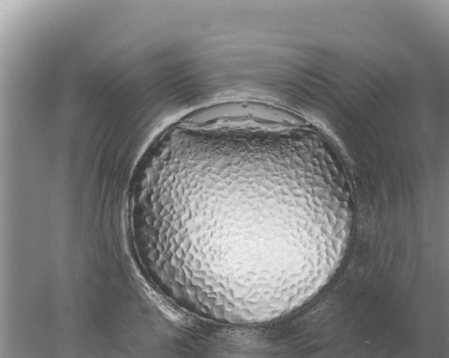 X0000077991040200611171749