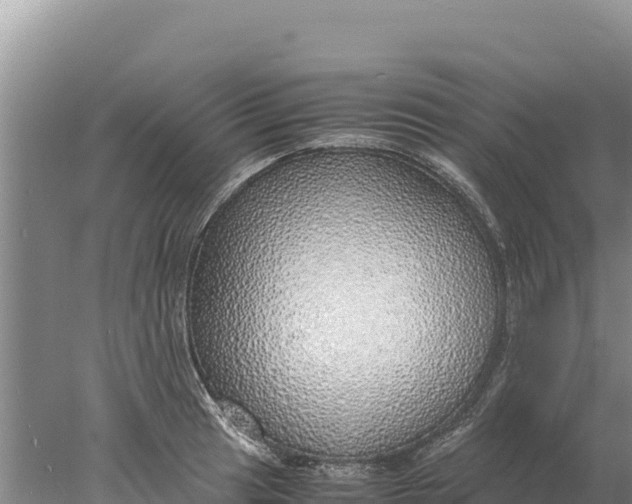 X0000077991041200611171749