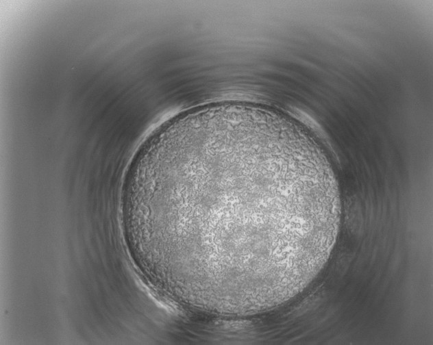 X0000077991043200611171749