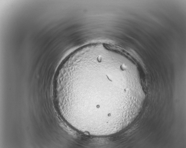 X0000077991044200611171749