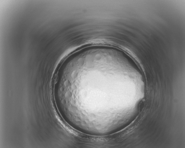 X0000077991045200611171749