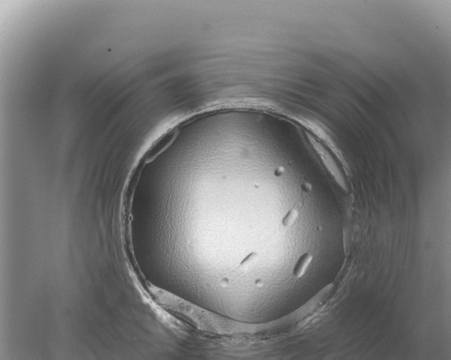 X0000077991046200611171749