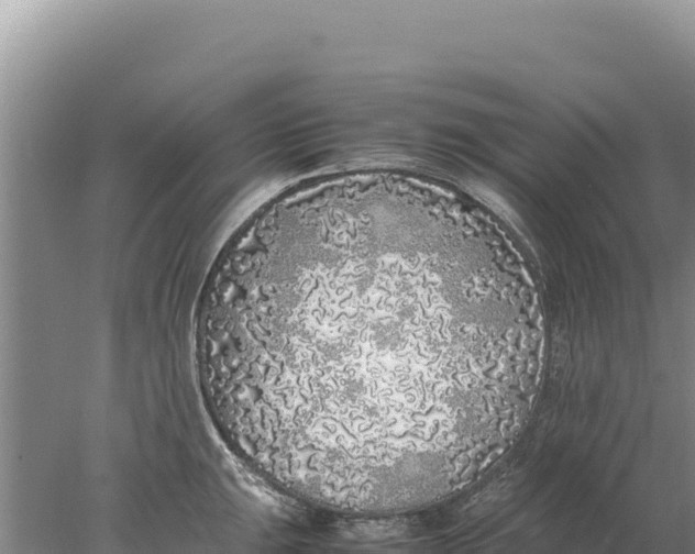 X0000077991047200611171749