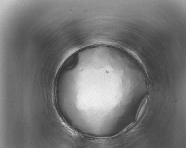 X0000077991048200611171749