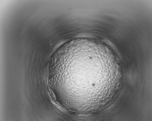 X0000077991049200611171749