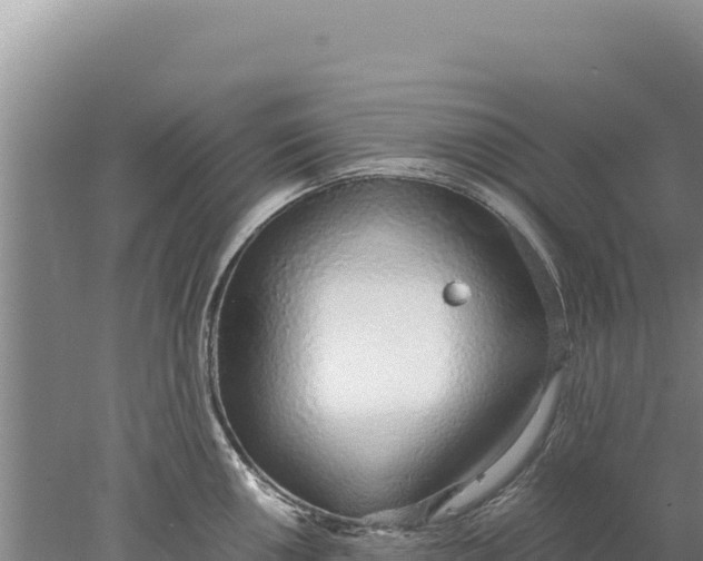 X0000077991050200611171749