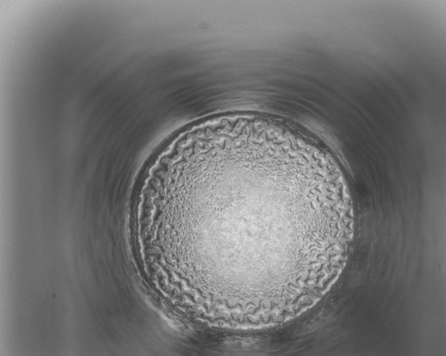 X0000077991051200611171749