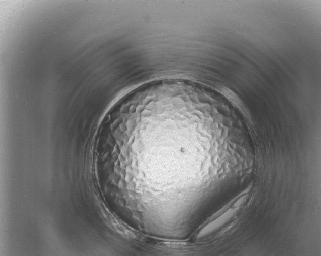 X0000077991052200611171749