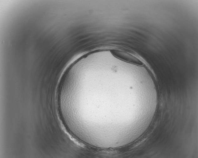 X0000077991053200611171749