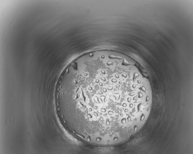 X0000077991055200611171749