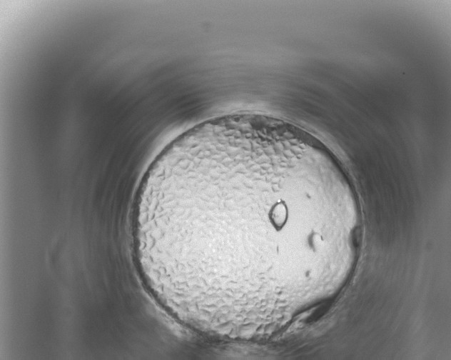 X0000077991056200611171749