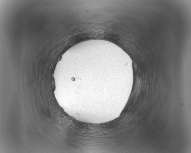 X0000077991057200611171749