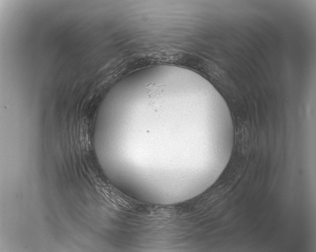 X0000077991058200611171749