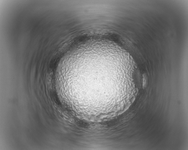 X0000077991059200611171749